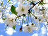 © margelatu florina - Fotolia.com