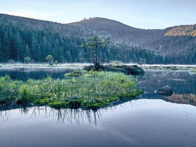 Ein idyllisches Gewässer eingebettet zwischen Bäumen und Bergen.