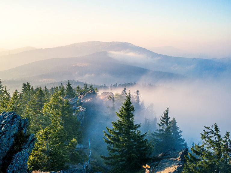 Der Ausblick von einem Berg über den im Nebel verhangenen Bayerischen Wald.