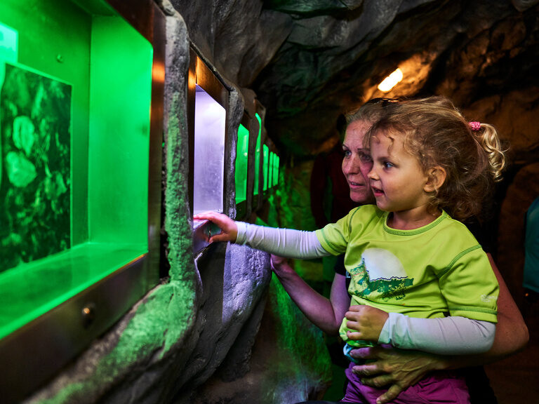 Eine Frau mit Kind schaut gespannt auf ein Ausstellungsstück in einem Museum im Bayerischen Wald.