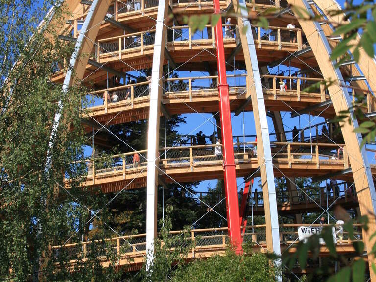 Der Aussichtsturm des Baumwipfelpfads im Nationalpark Bayerischer Wald ragt imposant über die Baumkronen.