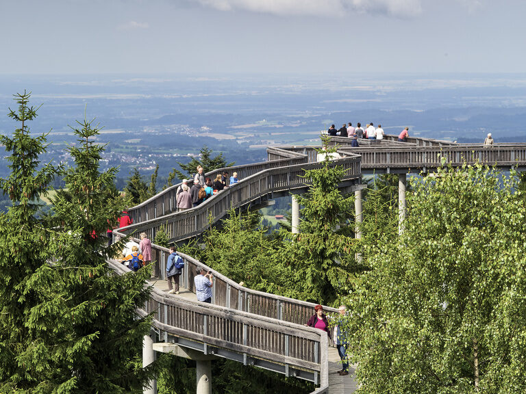 Eine Gruppe geht den Baumwipfelpfad entlang und bestaunt die wunderschöne Natur des Bayerwalds