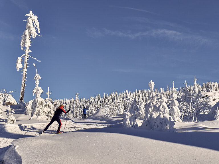 Eine Wintersportlerin beim Langlaufen im verschneiten Arbergebiet.