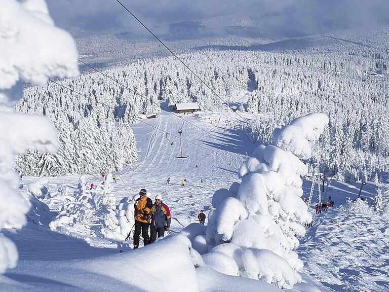 Eine Gruppe Wintersportler steigt neben einer Piste zwischen schneebedeckten Bäumen den Berg hinauf.