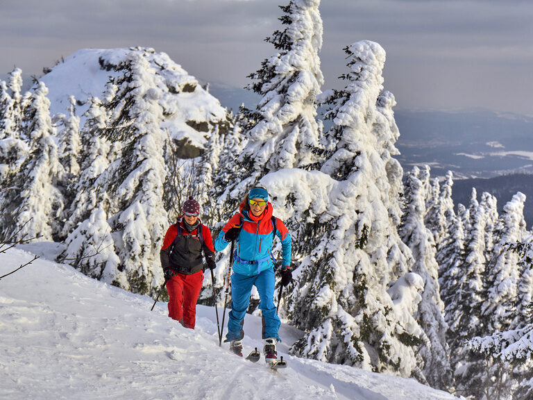 Eine Gruppe von Menschen geht auf Skiern einen verschneiten Berg hinauf.