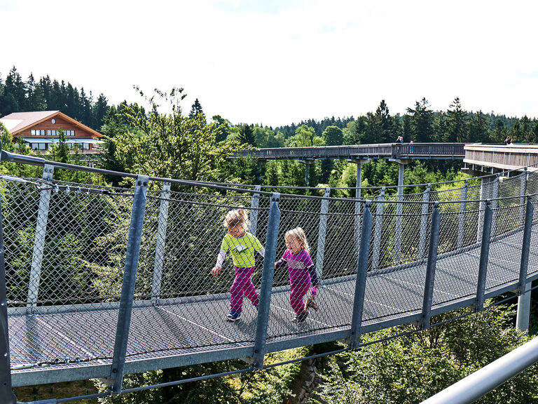 Zwei Kinder laufen über eine Hängebrücke im Waldwipfelweg.