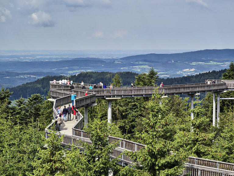 Mehrere Menschengruppen spazieren auf dem Baumwipfelpfad und haben dabei eine perfekte Sicht auf den Nationalpark Bayerischer Wald