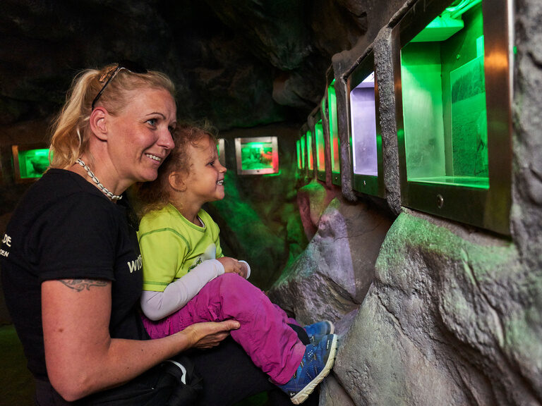 Ein Kind bestaunt mit ihrer Mutter ein Ausstellungsstück in einem Museum im Baumwipfelweg
