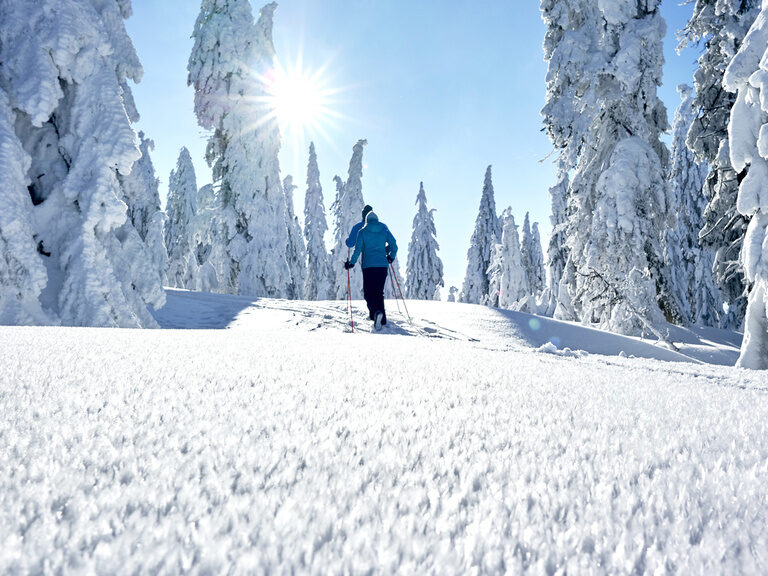 Eine Person wandert durch unberührten Schnee in der Region um Bodenmais.