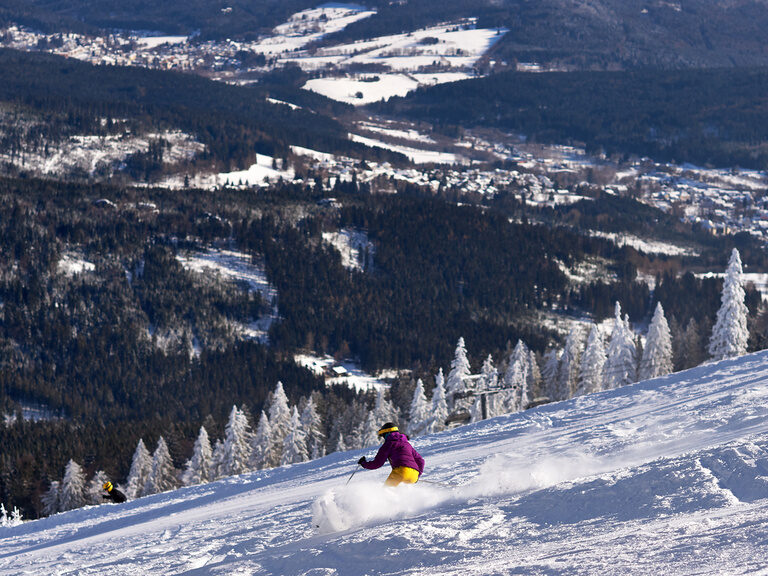 Eine Person fährt rasant eine Piste mit viel Neuschnee hinunter.