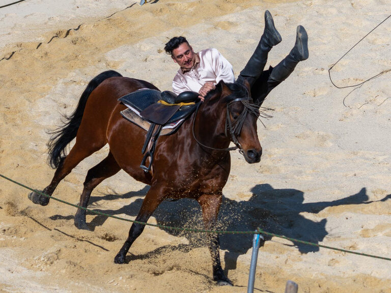 Ein Mann reitet auf dem Rücken eines braunen Pferdes in Pullman City und performt Kunststücke.