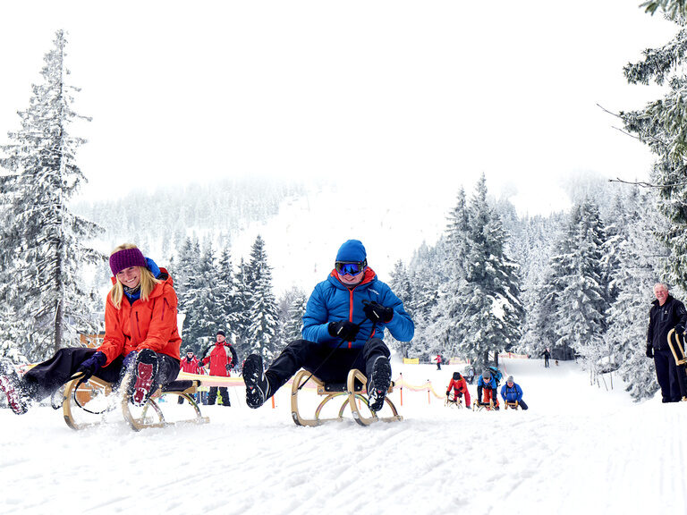 Eine Gruppe von Menschen genießt Schlittenfahren auf einer schneebedeckten Piste im Bayerischen Wald.