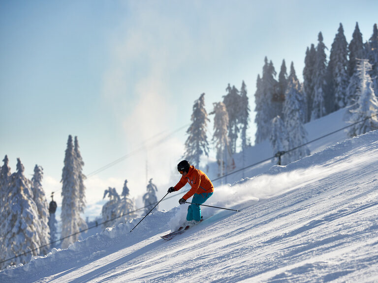 Ein Skifahrer fährt schwungvoll eine schneebedeckte Piste im Bayerischen Wald hinunter. Die Sonne scheint auf die verschneiten Bäume.
