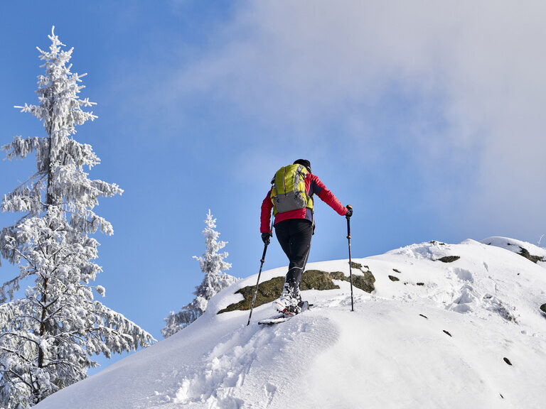 Ein Skisportler in Aktion auf einem verschneiten Berghang mit winterlicher Landschaft.