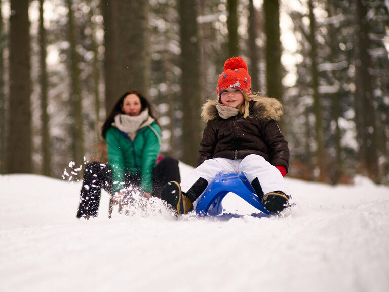 Zwei Personen liefern sich im verschneiten Wald ein Rennen auf Schlitten.