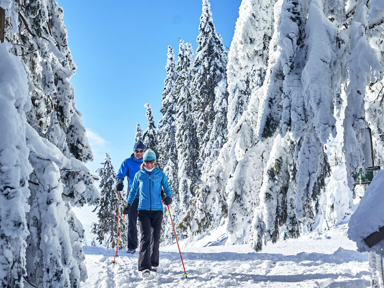 Ein Paar beim beruhigendem Wandern mit Schneeschuhen im Winter bei Bodenmais
